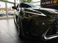 Lexus UX 250h Style Edition MY22 LED KAM DAB+ Vert - thumbnail 23