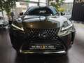 Lexus UX 250h Style Edition MY22 LED KAM DAB+ Vert - thumbnail 2