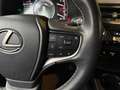 Lexus UX 250h Style Edition MY22 LED KAM DAB+ Vert - thumbnail 12