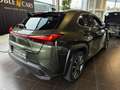 Lexus UX 250h Style Edition MY22 LED KAM DAB+ Vert - thumbnail 7