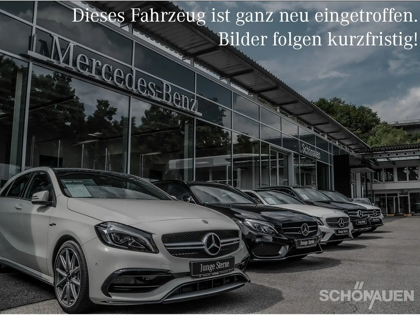 Mercedes-Benz E 220 d T PANO+AHK+DISTRONIC+19"+WINTERPKT+KEYLE Grau - 1