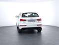 Audi Q3 2.0 TDI quattro sport Weiß - thumbnail 6