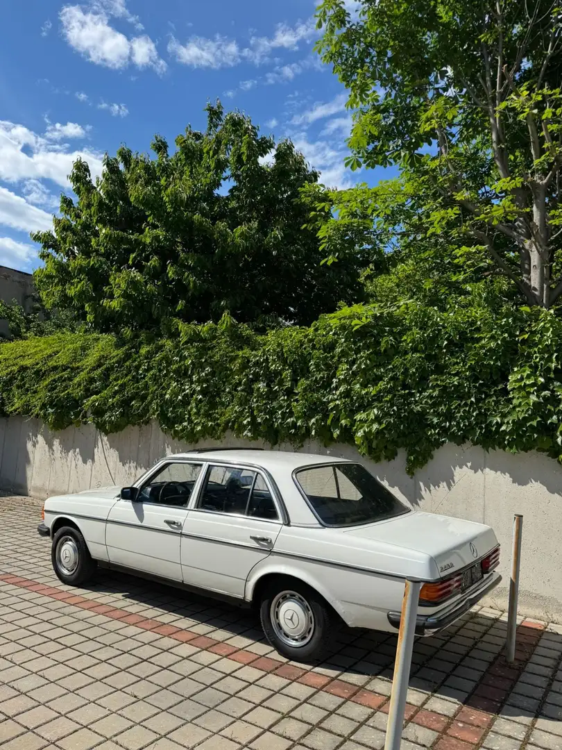 Mercedes-Benz 240 w123 240d - 2