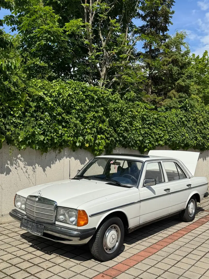 Mercedes-Benz 240 w123 240d - 1