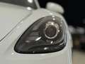 Porsche Boxster 718 Style Edition 2.0 300 CV IVA ESPOSTA Blanco - thumbnail 34