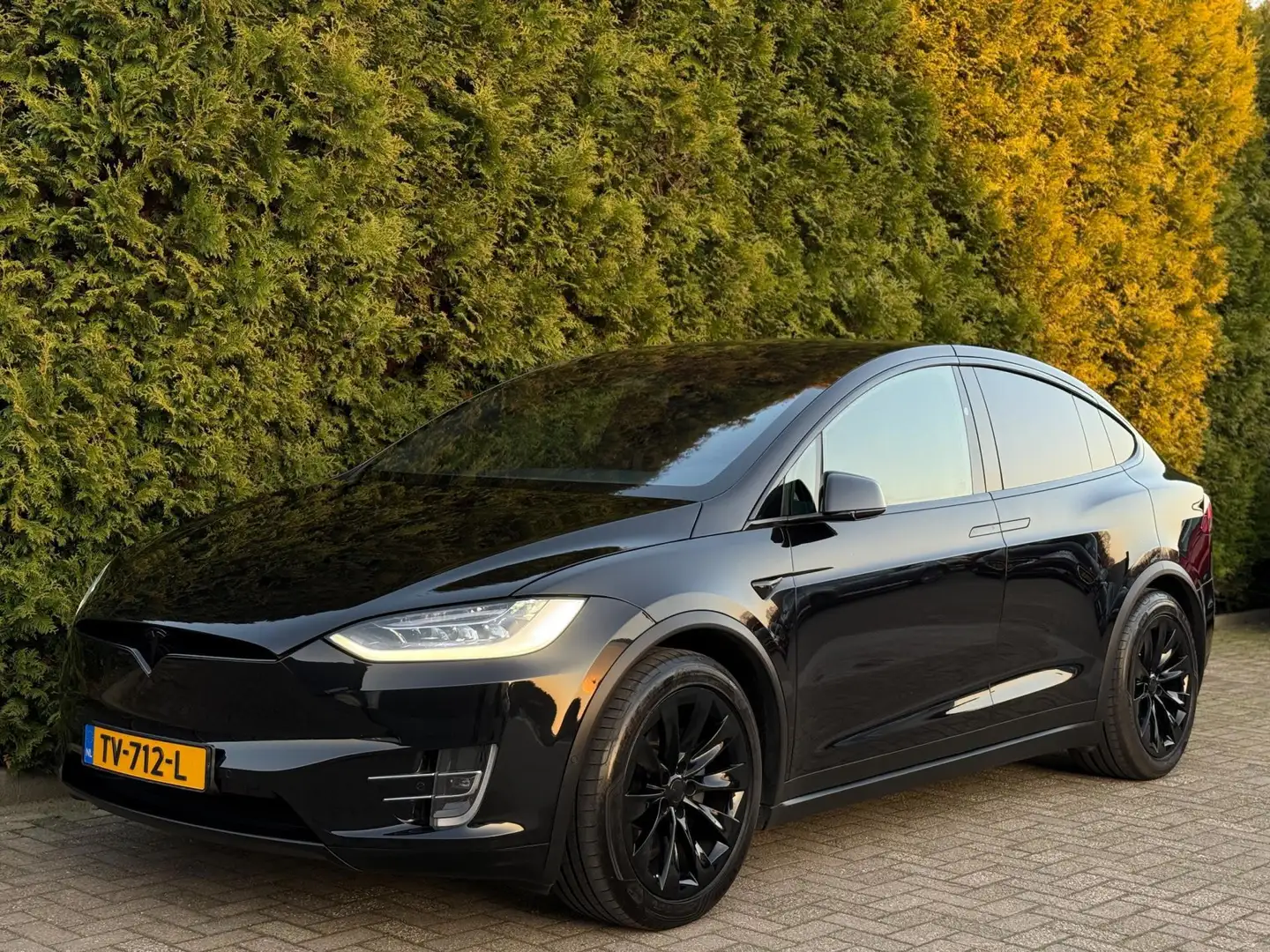 Tesla Model X 75D Base Auto Pilot Trekhaak Black Pack Noir - 2