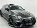 Mercedes-Benz AMG GT 63 S 4Matic+/DE-FZG/U-FREI/NP:209.083,- Gris - thumbnail 1