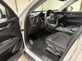 Alfa Romeo Stelvio Stelvio 2.2 Turbodiesel 190 CV AT8 Q4 Business Argent - thumbnail 25