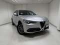 Alfa Romeo Stelvio Stelvio 2.2 Turbodiesel 190 CV AT8 Q4 Business Argent - thumbnail 2