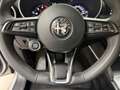 Alfa Romeo Stelvio Stelvio 2.2 Turbodiesel 190 CV AT8 Q4 Business Argent - thumbnail 5