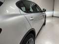 Alfa Romeo Stelvio Stelvio 2.2 Turbodiesel 190 CV AT8 Q4 Business Argent - thumbnail 19
