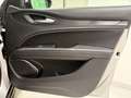 Alfa Romeo Stelvio Stelvio 2.2 Turbodiesel 190 CV AT8 Q4 Business Argent - thumbnail 46