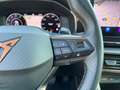 CUPRA Formentor 1,5 TSI DSG | ACC/NAVI Weiß - thumbnail 39