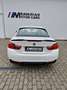 BMW 435 Baureihe 4 Cabrio 435 i Blanc - thumbnail 9