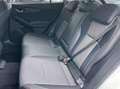 Subaru XV 2.0 Benzina 156CV E6 Automatica 4WD - 2018 Blanc - thumbnail 7