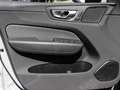 Volvo XC60 Plus Dark Recharge Plug-In Hybrid AWD T8 Twin Engi Grigio - thumbnail 10