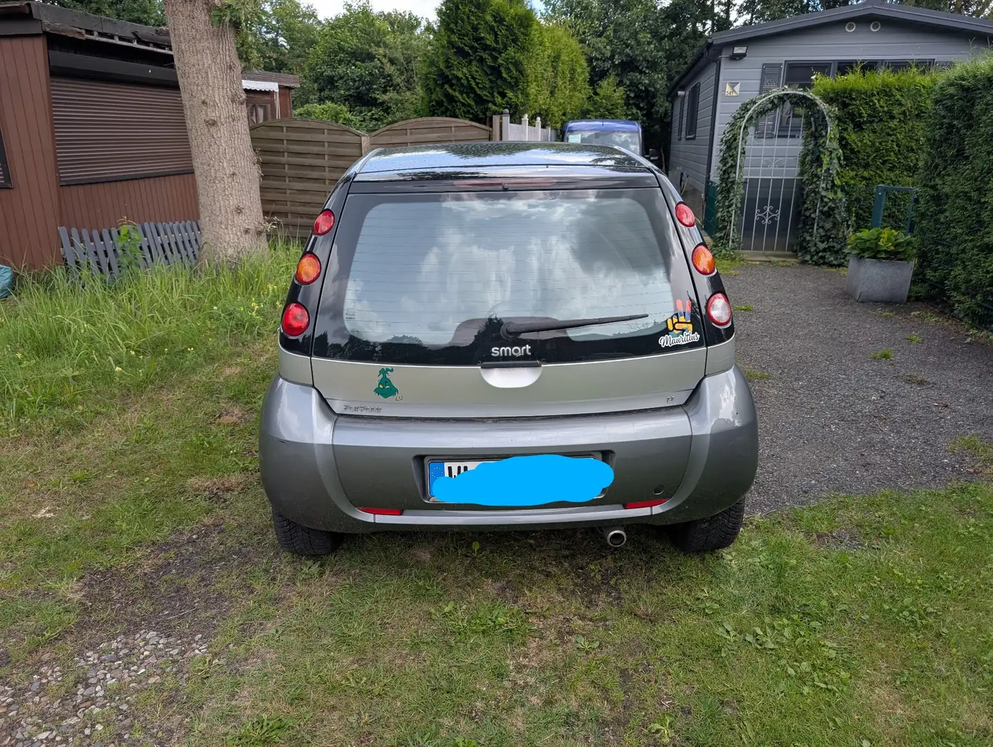 smart forFour Basis 55kW (454.030) Grau - 2