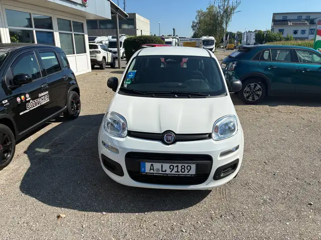 Fiat Pandina