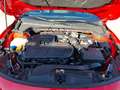Ford Focus ST X 2.3 KLIMA / LED / ACC / HEAD-UP / BANG & OLUF Rot - thumbnail 17