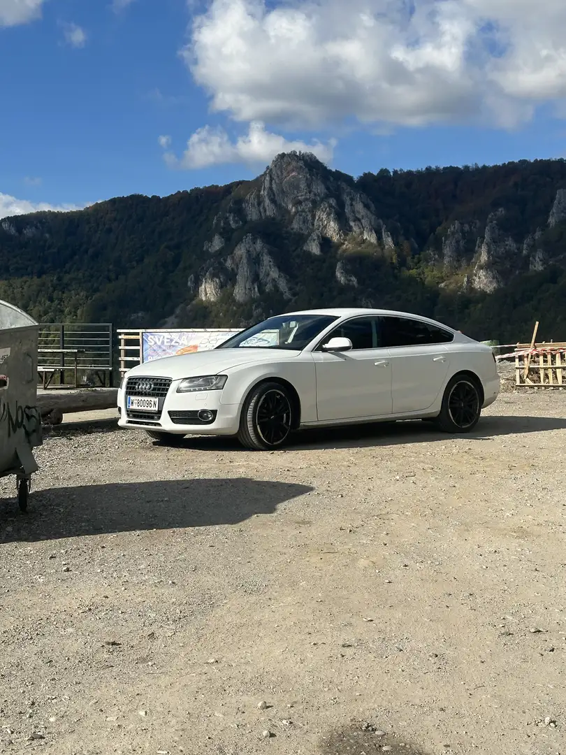 Audi A5 SB 2,0 TDI DPF NEUES PICKERL 07/26 Weiß - 2