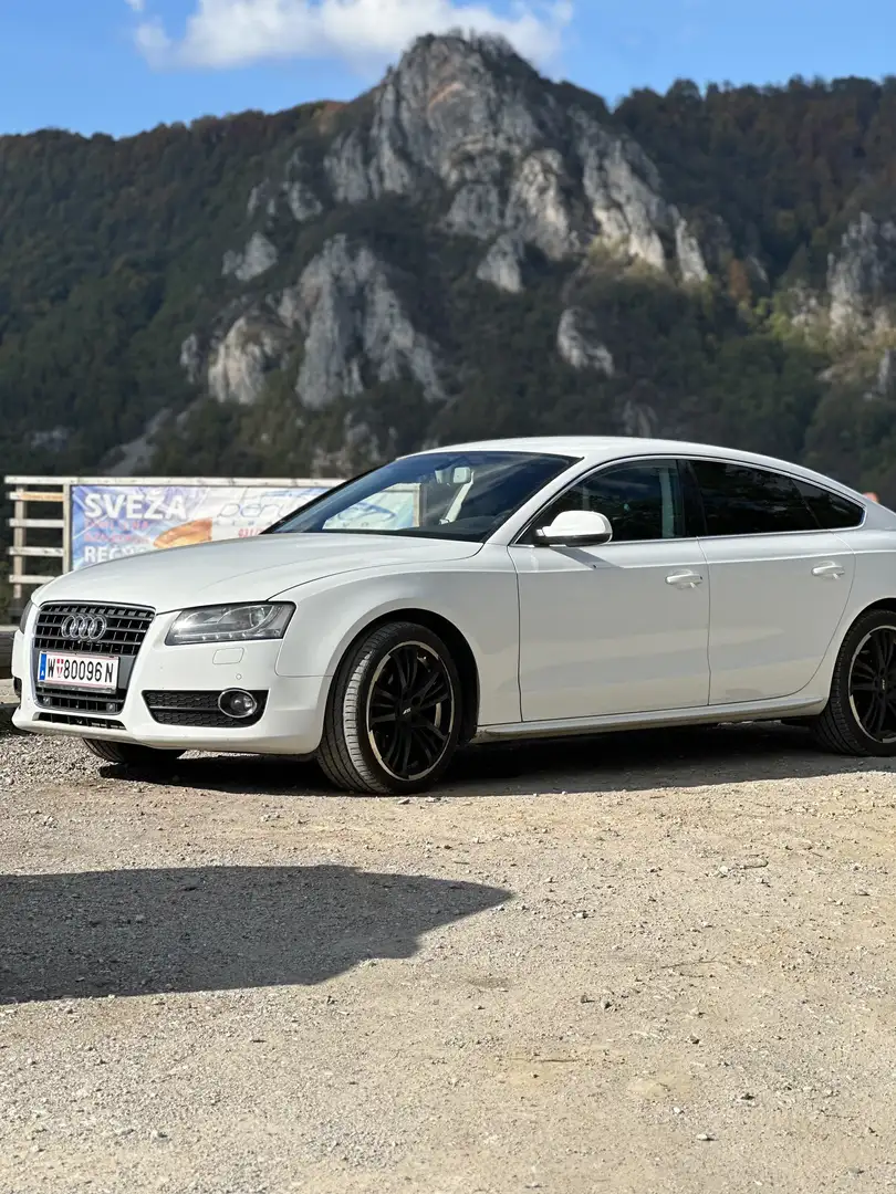 Audi A5 SB 2,0 TDI DPF NEUES PICKERL 07/26 Weiß - 1