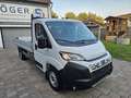 Fiat Ducato MAXI 2025 L5 L4 Pritsche ACC Visibility Weiß - thumbnail 3