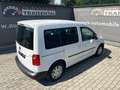 Volkswagen Caddy Kombi Trendline 2,0 TDI Blanco - thumbnail 7