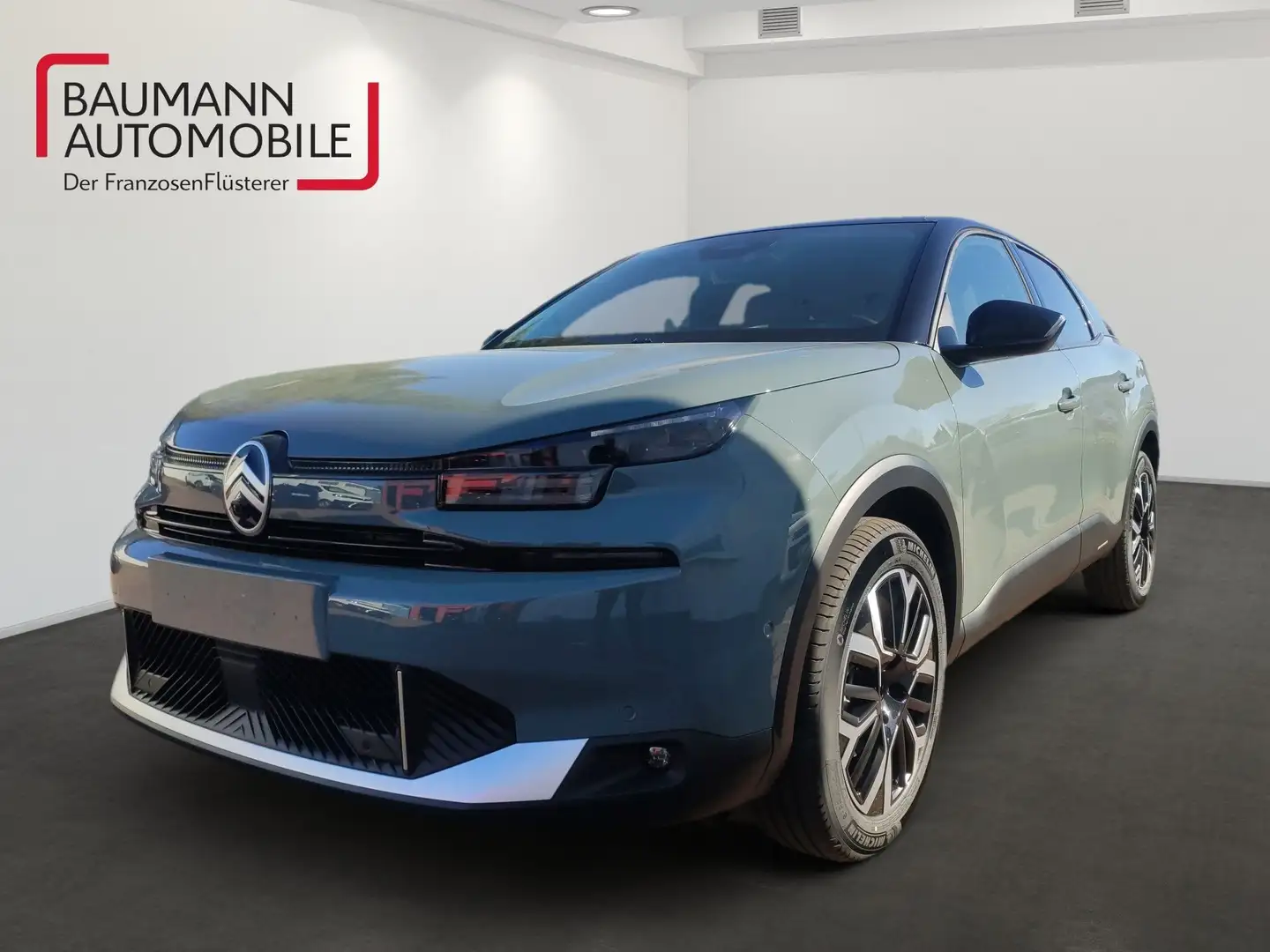 Citroen C4 Lim. Max, Kamera, Navi Verde - 1