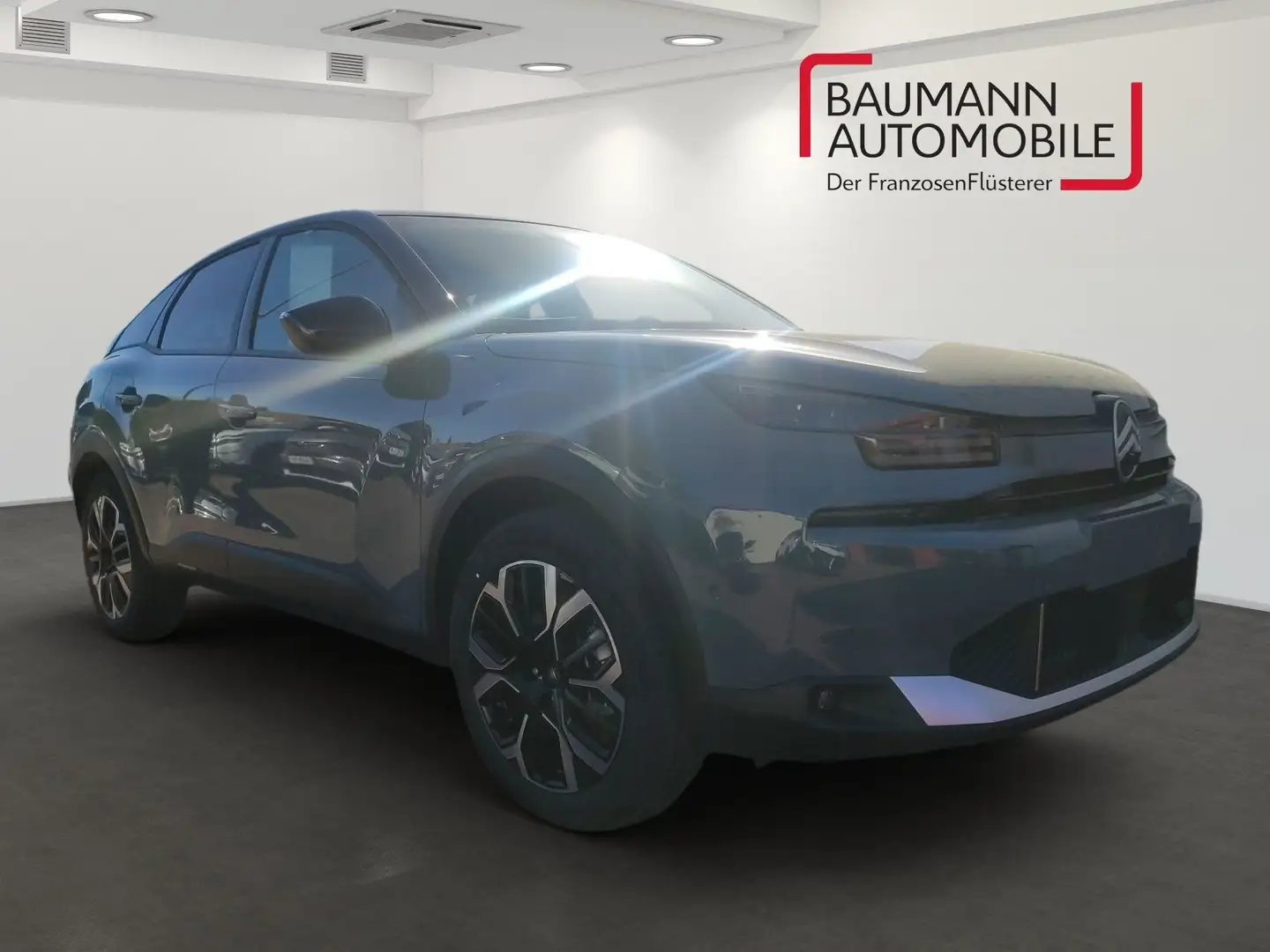 Citroen C4 Lim. Max, Kamera, Navi Verde - 2