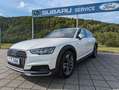Audi A4 allroad quattro*AHK*Matrix*Kamera* Blanc - thumbnail 2