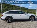 Audi A4 allroad quattro*AHK*Matrix*Kamera* Blanc - thumbnail 4