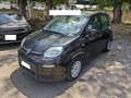 Fiat Panda Panda 1.0 FireFly S&S Hybrid - 2k** Zwart - thumbnail 1