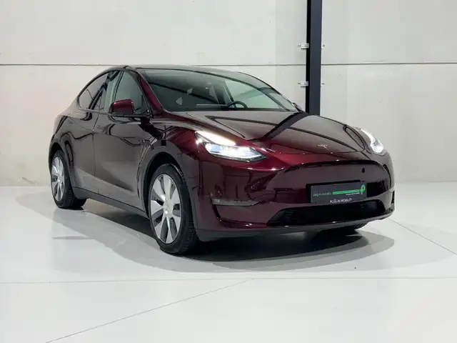 Tesla Model Y Model Y 78 kWh AWD Long Range Incl. afneembare trekhaak!
