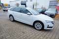 Skoda Octavia Combi 2.0 TDI Selection LED/Nav/Kam/ACC Wit - thumbnail 6