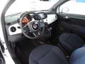 Fiat 500 1.0 Hybrid Club Weiß - thumbnail 6
