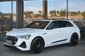 Audi e-tron 55 quattro 95kWh S-line NP €125k ACC, AHK, Head... Weiß - thumbnail 40