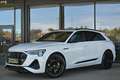Audi e-tron 55 quattro 95kWh S-line NP €125k ACC, AHK, Head... Weiß - thumbnail 38