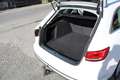 Audi A4 A4 Avant 35 TDI sport S-tronic sport Weiß - thumbnail 15