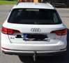 Audi A4 A4 Avant 35 TDI sport S-tronic sport Weiß - thumbnail 5