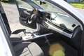 Audi A4 A4 Avant 35 TDI sport S-tronic sport Weiß - thumbnail 8