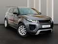 Land Rover Range Rover Evoque 2.0L TD4 132kW 4x4 SE Dynamic Auto Gris - thumbnail 3