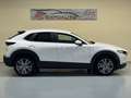 Mazda CX-30 2.0 Skyactiv-G Evolution 2WD 90kW Blanc - thumbnail 4