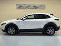 Mazda CX-30 2.0 Skyactiv-G Evolution 2WD 90kW Blanc - thumbnail 8