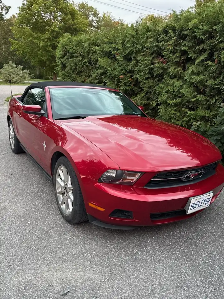  Mustang