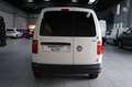 Volkswagen Caddy 2.0 TDI 122 CV 4Motion Furgone Maxi Bianco - thumbnail 5