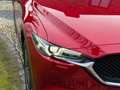 Mazda CX-5 2.0 SkyActiv-G 165 Skylease GT AWD Leder Navi Rot - thumbnail 17