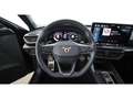 CUPRA Leon 2.0 TDI Aut LED RADAR LEDER LANE-ASSIST PDC Grau - thumbnail 21