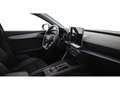 CUPRA Leon 2.0 TDI Aut LED RADAR LEDER LANE-ASSIST PDC Grau - thumbnail 13