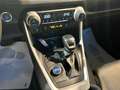 Toyota RAV 4 2.5 vvt-ie hybrid Lounge awd-i e-cvt Gris - thumbnail 19