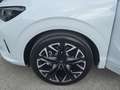 CUPRA Terramar 2.0 TSI 204 PS DSG 4Drive Weiß - thumbnail 15